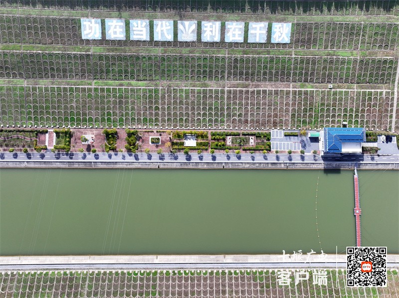 位于河南省南阳市淅川县的陶岔渠首总干渠 （朱江于2024年11月26日航拍）_副本
