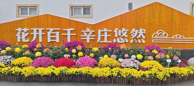 微信图片_20250113124137.png