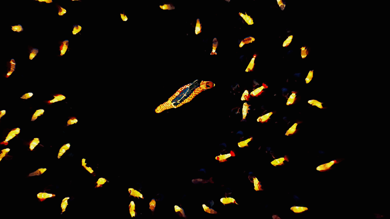 3da80944045ef7f03ac7fc0c74ee0dd2.gif