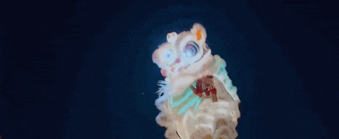 acb27535965b7d7e7b8d2d5a3d682515.gif