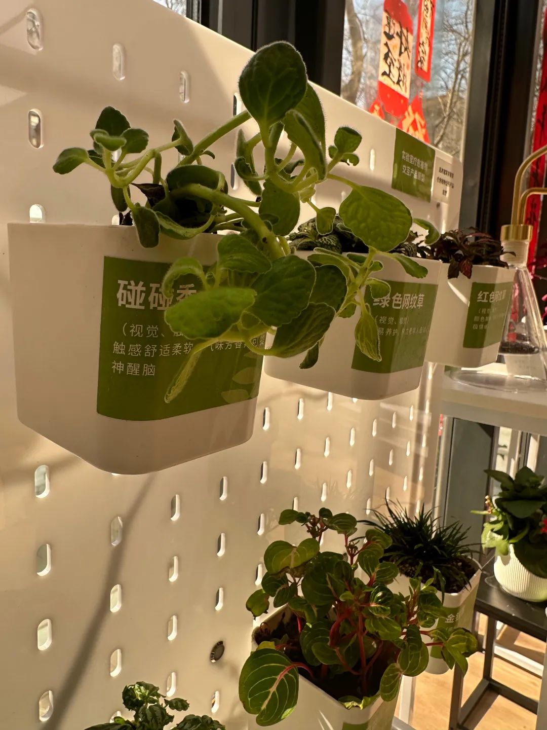 微信图片_20250304154800.jpg