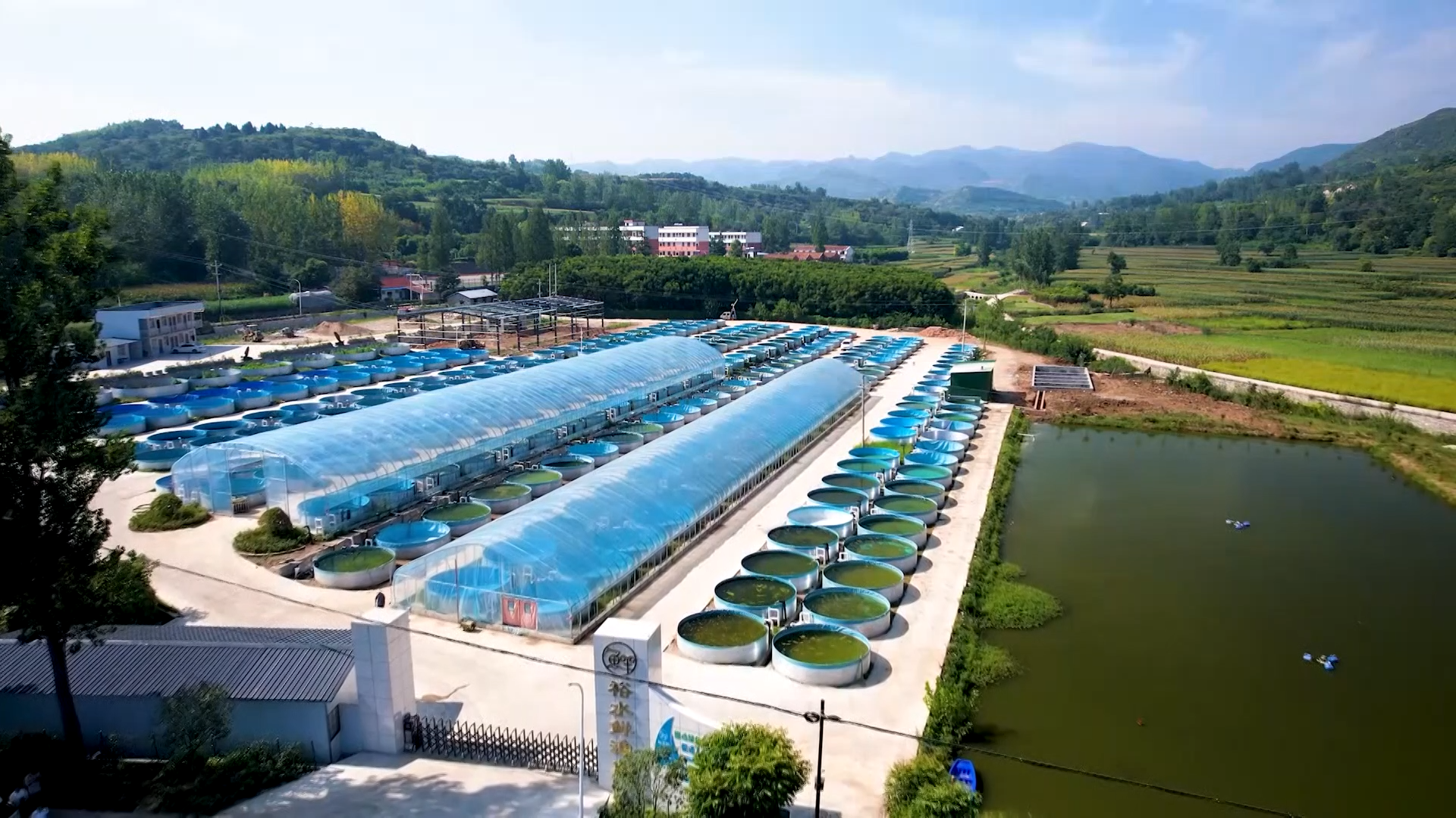 强龙头壮链条建品牌 十堰加快建成全国绿色农产品输出地