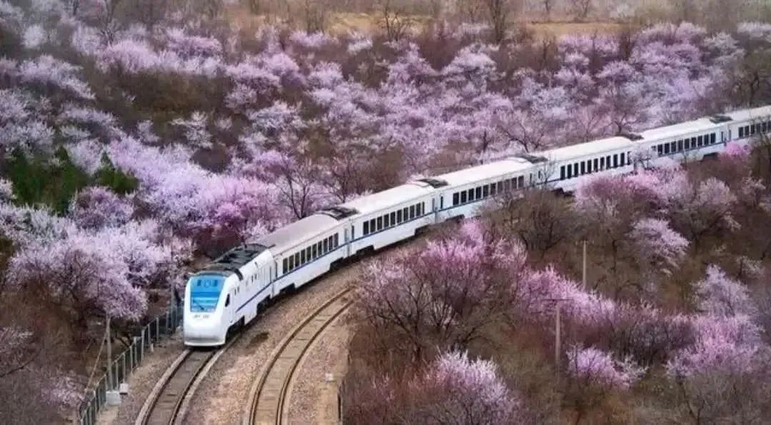 微信图片_20250320155602.jpg