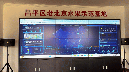 cf7e29c3924c2d0e61621ca0fb59896b.gif