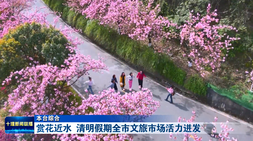 微信图片_20250407202010