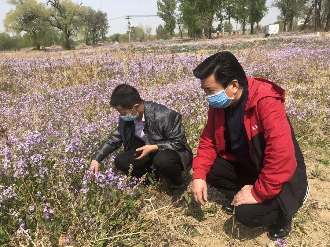 微信图片_20250407172616.jpg