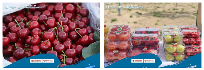 微信图片_20250417172526.png