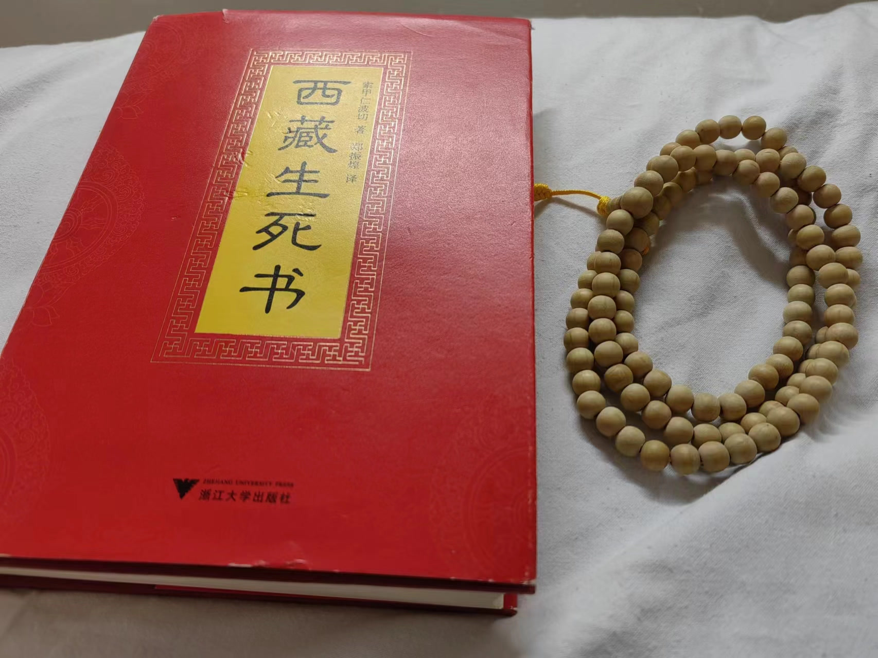 入院六章——西藏生死书