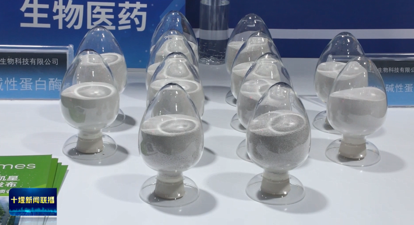 微信图片_20250508202228