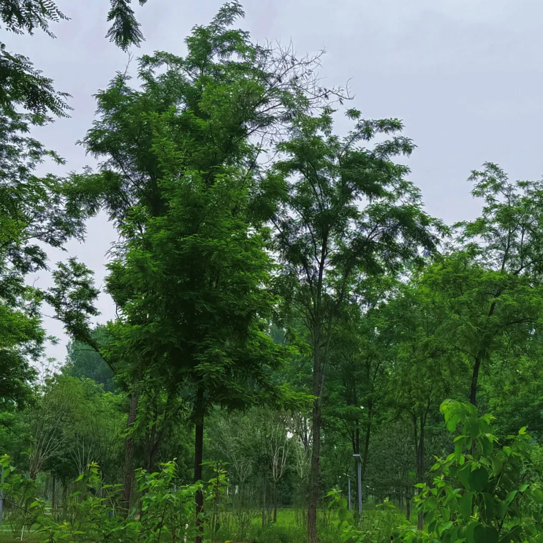 1b7addde2585a6b9a7014c9ef59832a6.jpg
