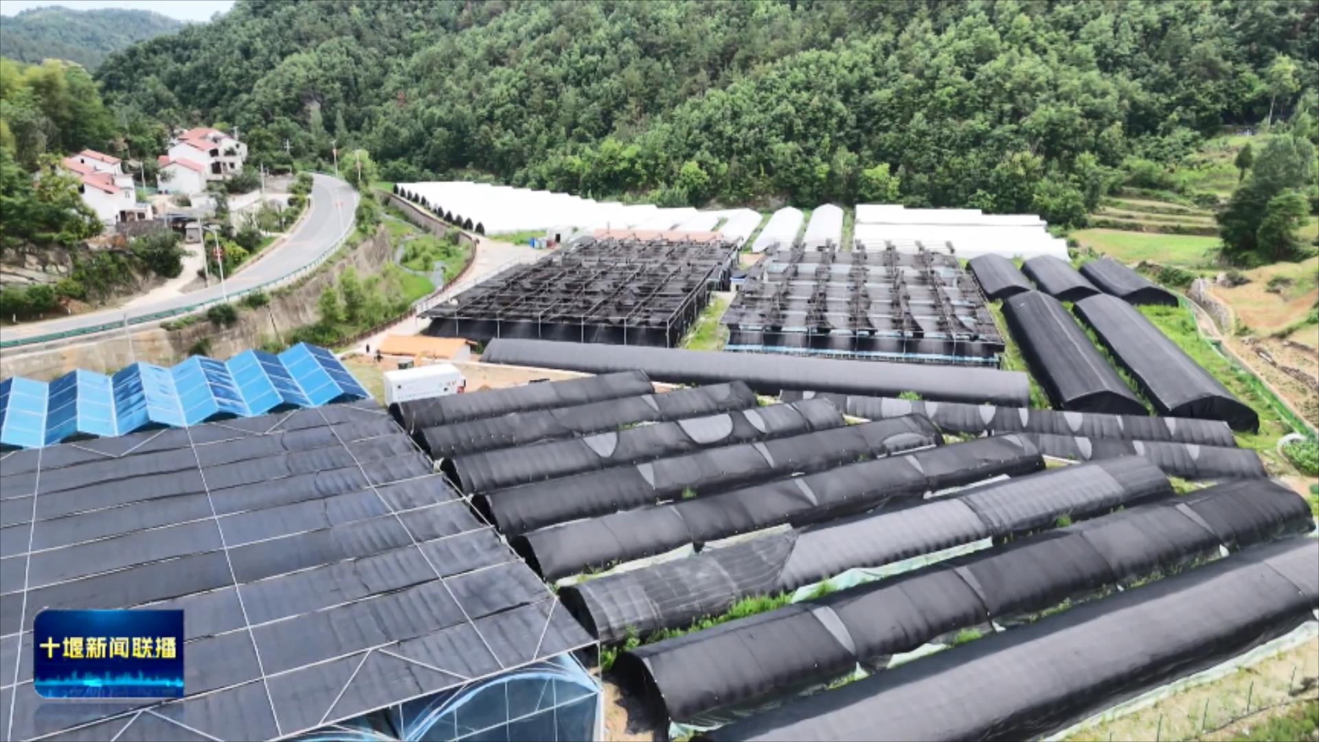 党员带头护清流  “党建红”引领“生态绿”.mp4_20250701_190451814