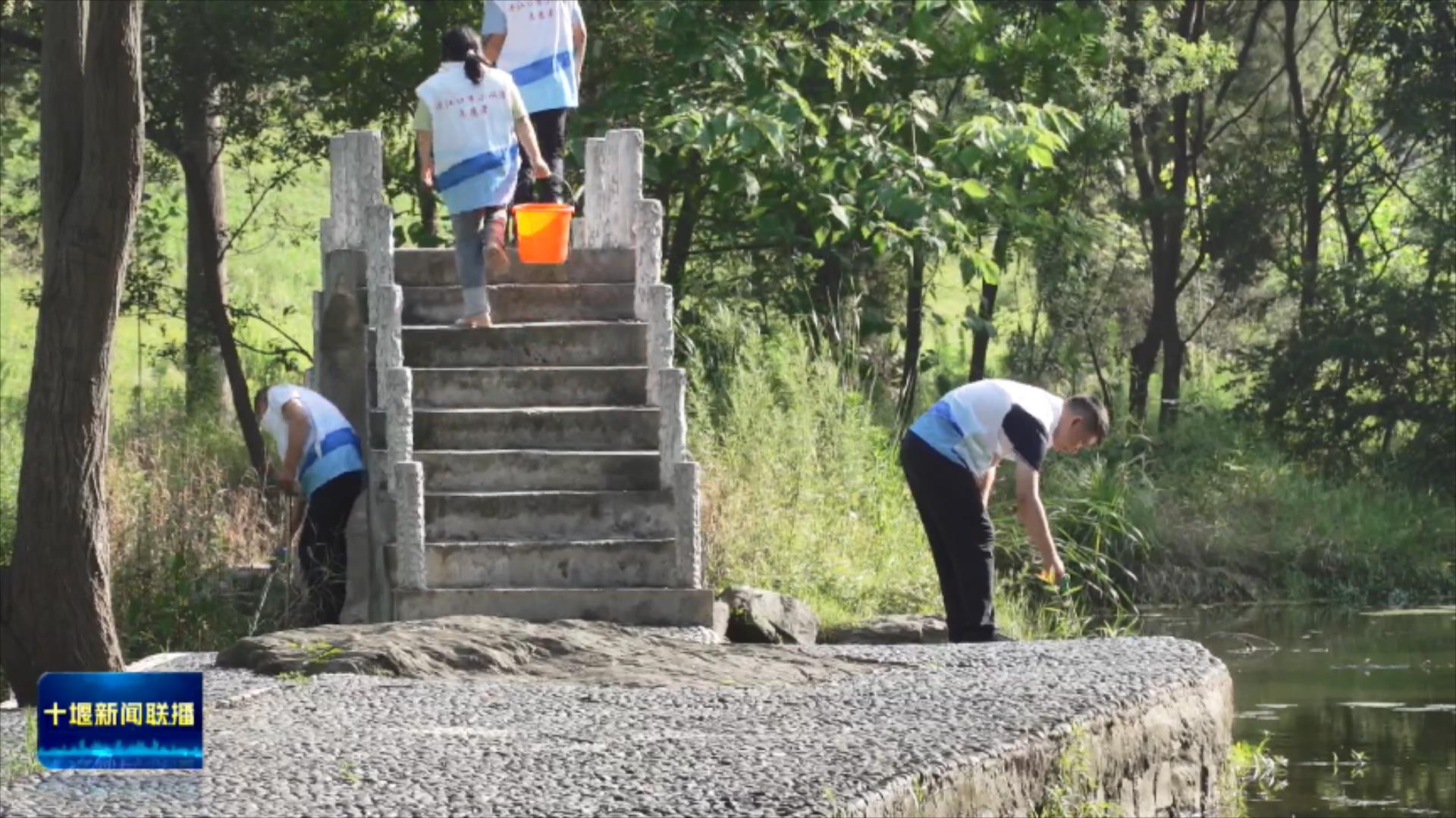 党员带头护清流  “党建红”引领“生态绿”.mp4_20250701_190006351