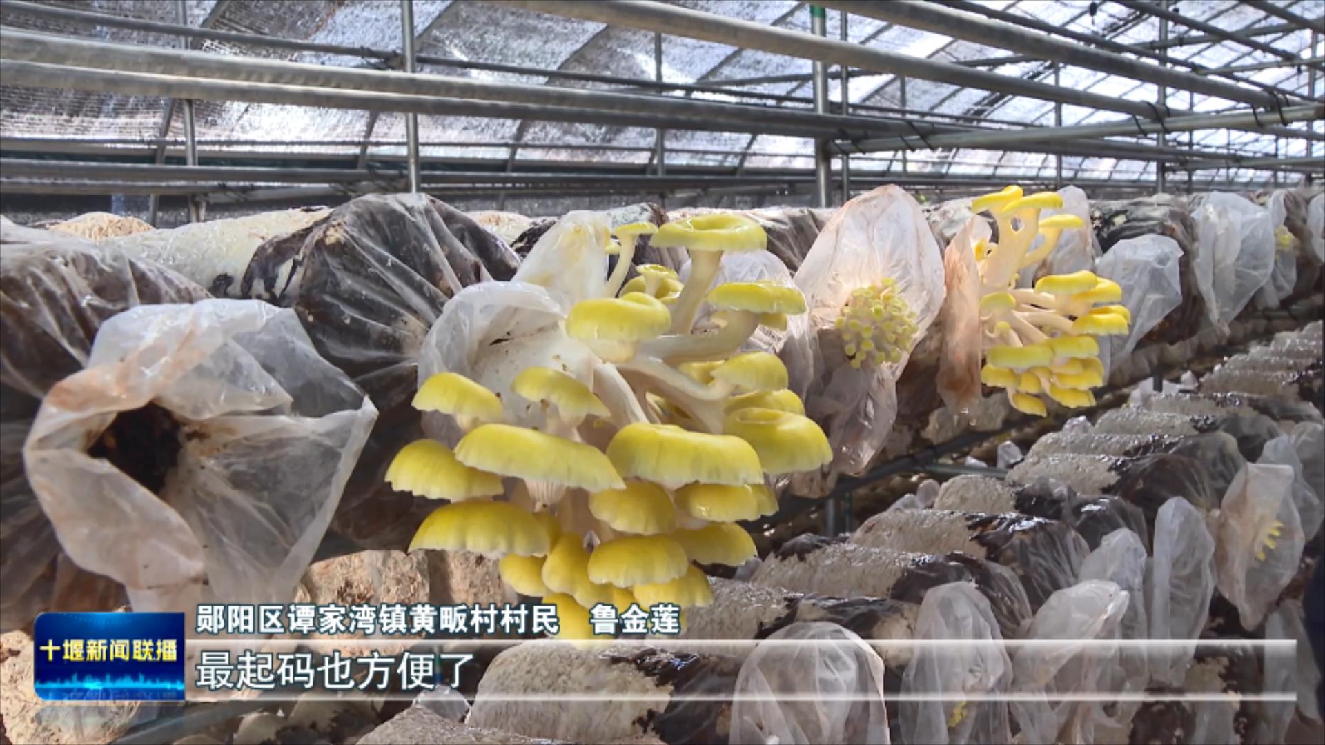 党员带头护清流  “党建红”引领“生态绿”.mp4_20250701_190349266