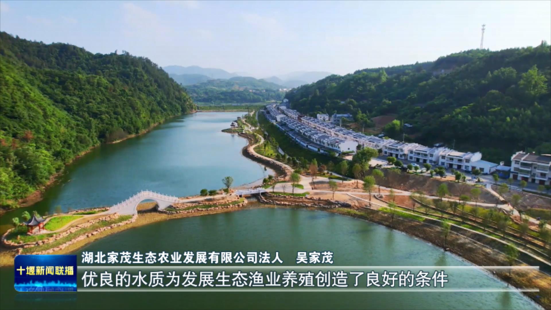 党员带头护清流  “党建红”引领“生态绿”.mp4_20250701_190135273