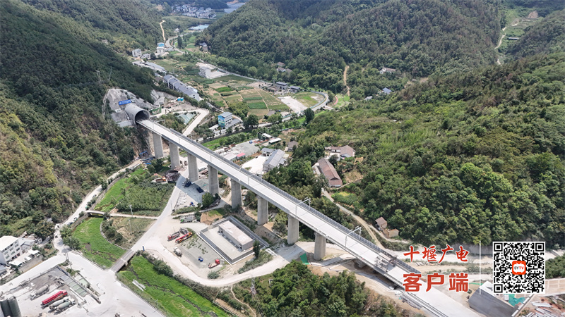 微信图片_2025-07-30_145435_654