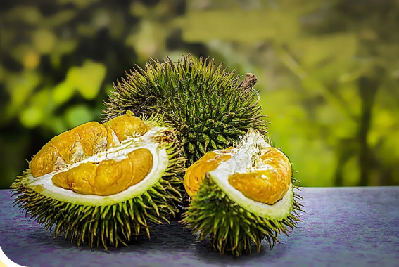 榴莲.png