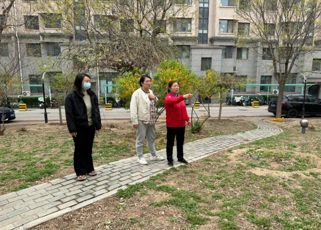 看闲置空地如何变身“阳光花园”