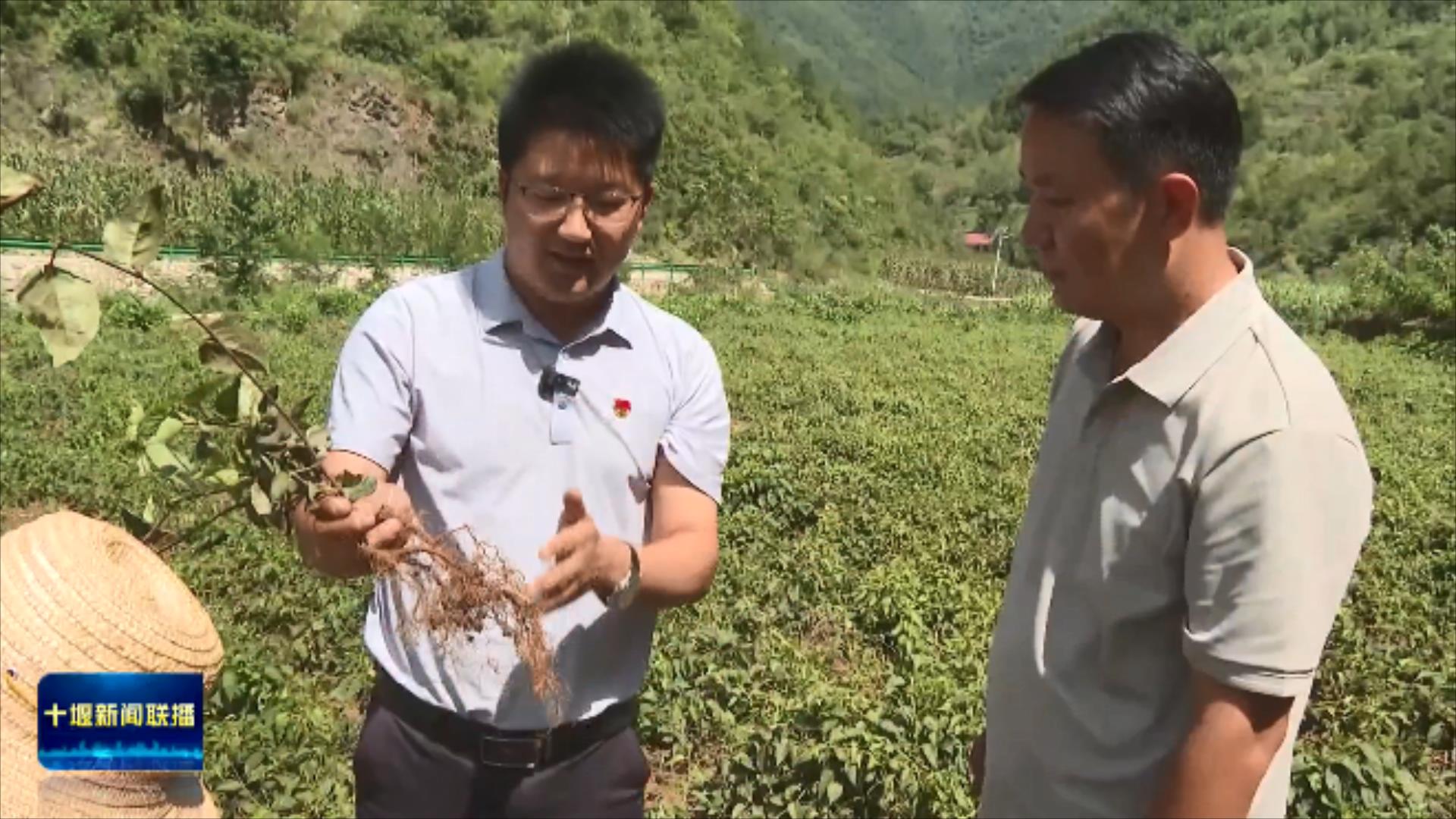 “五味子书记”翁新强的11年山村答卷.mp4_20250906_204216825