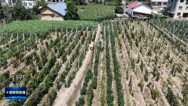 G+g4m6UqcCqSAAAAAElFTkSuQmCC