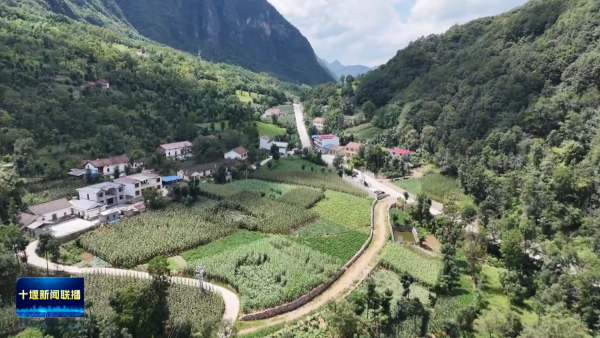 AO8JvNWR63GcAAAAAElFTkSuQmCC