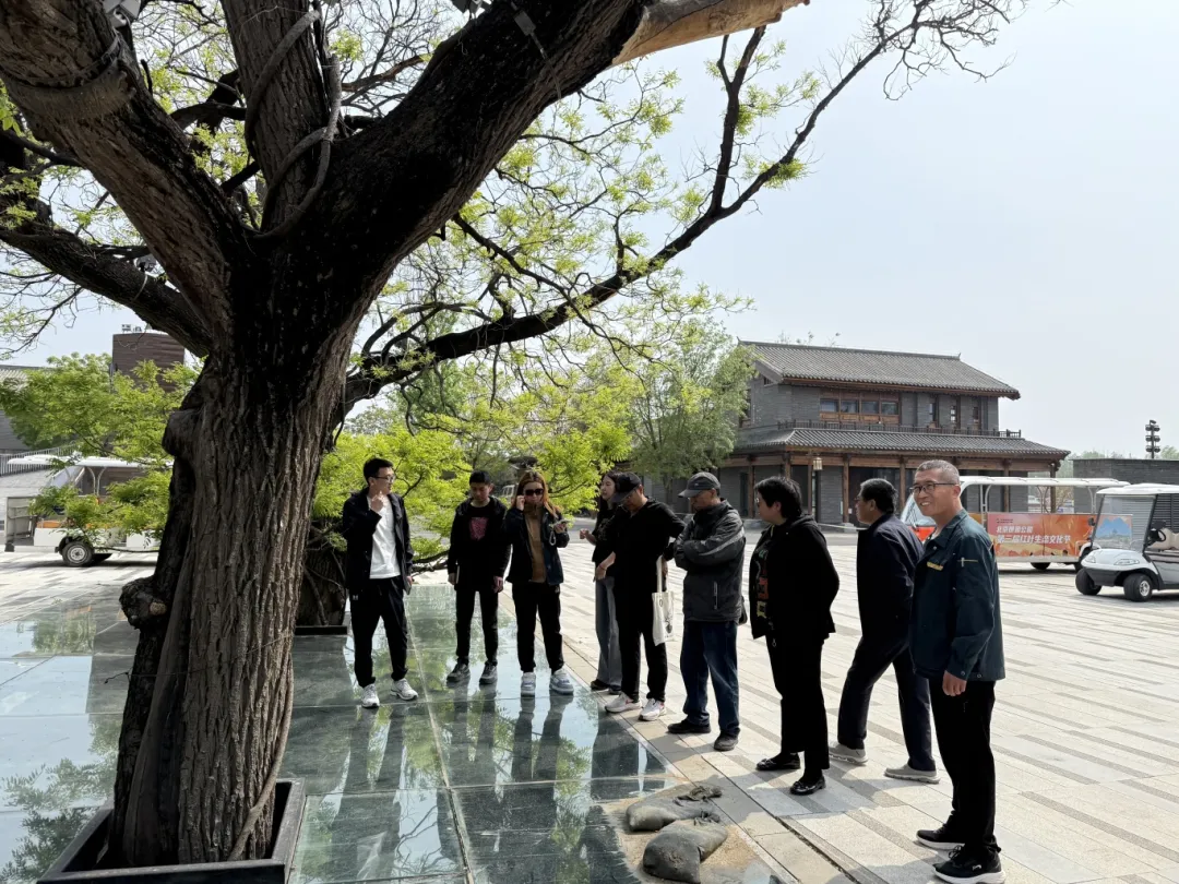 世园公园古树复壮前，专家现场论证.jpg