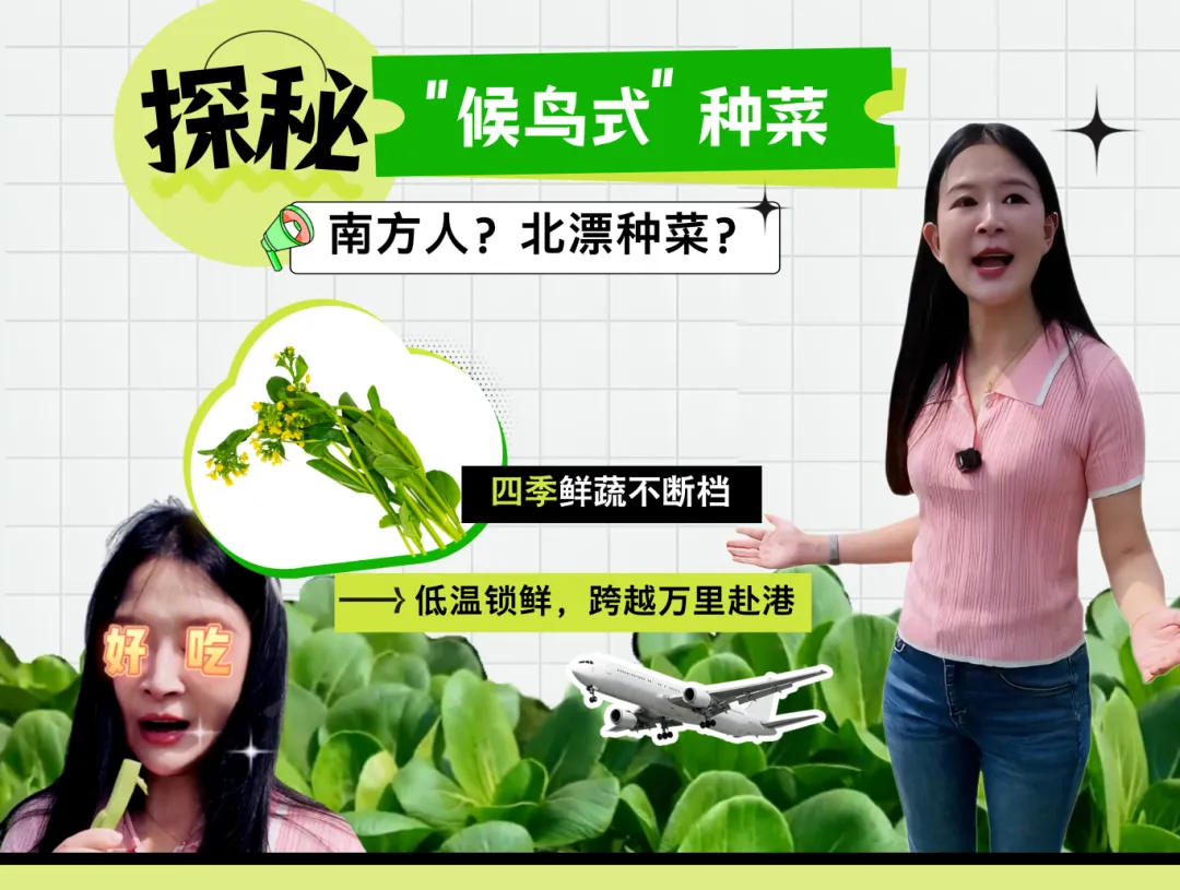 简约图文风机票免费活动宣传手机海报__2025-09-22+21_21_41.png