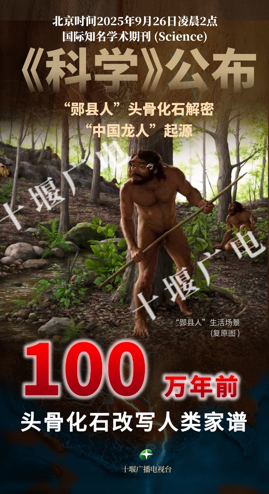 微信图片_20250926144046_56_1197 (1)