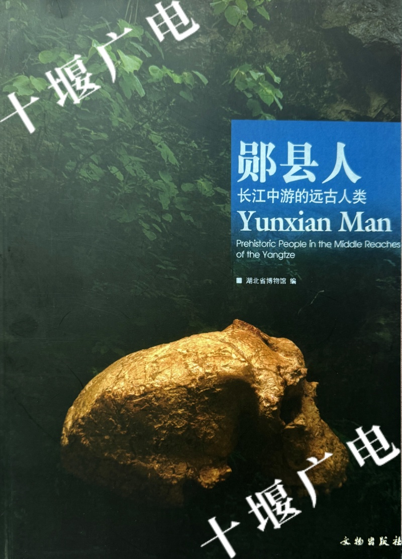 微信图片_20250926095128_9_1197 (1)