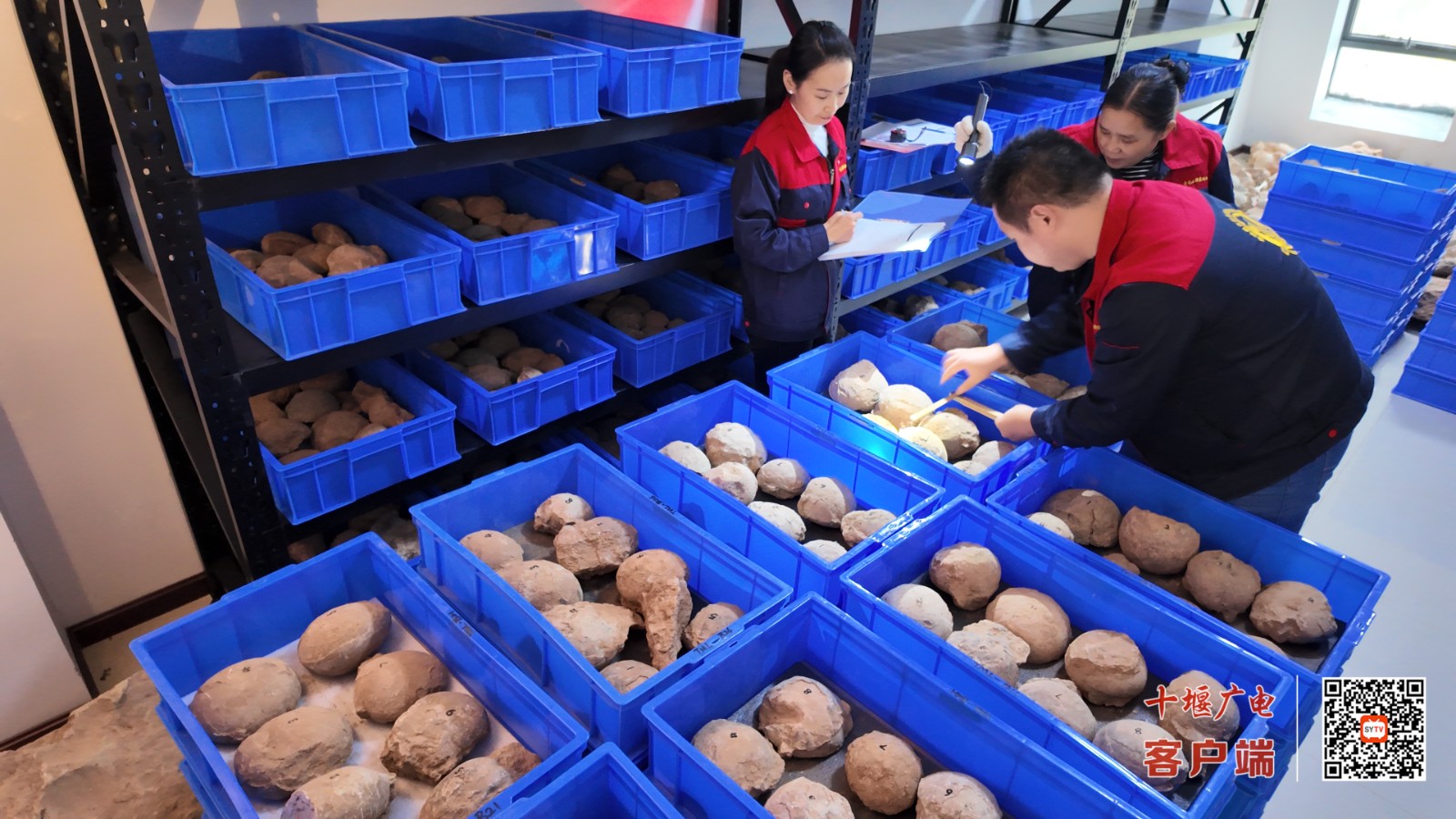 在湖北青龙山恐龙蛋化石群国家级自然保护区，数字化档案建设团队正为库藏的每一枚较完整恐龙蛋化石，赋予由“保护区名称-化石产地名称-库藏箱编号-标本编号”构成的唯一“身份证ID” (1)