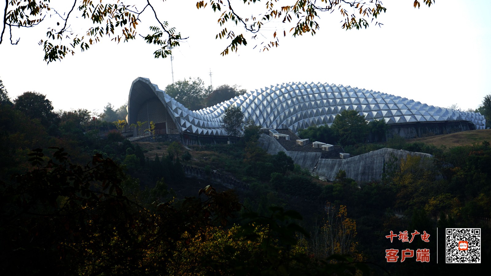 青龙山恐龙蛋化石群位于十堰市郧阳区柳陂镇，形成于距今约8600万年前，是全球恐龙蛋化石最集中的地点之一，也是中国首个恐龙蛋化石群国家级自然保护区 (4)