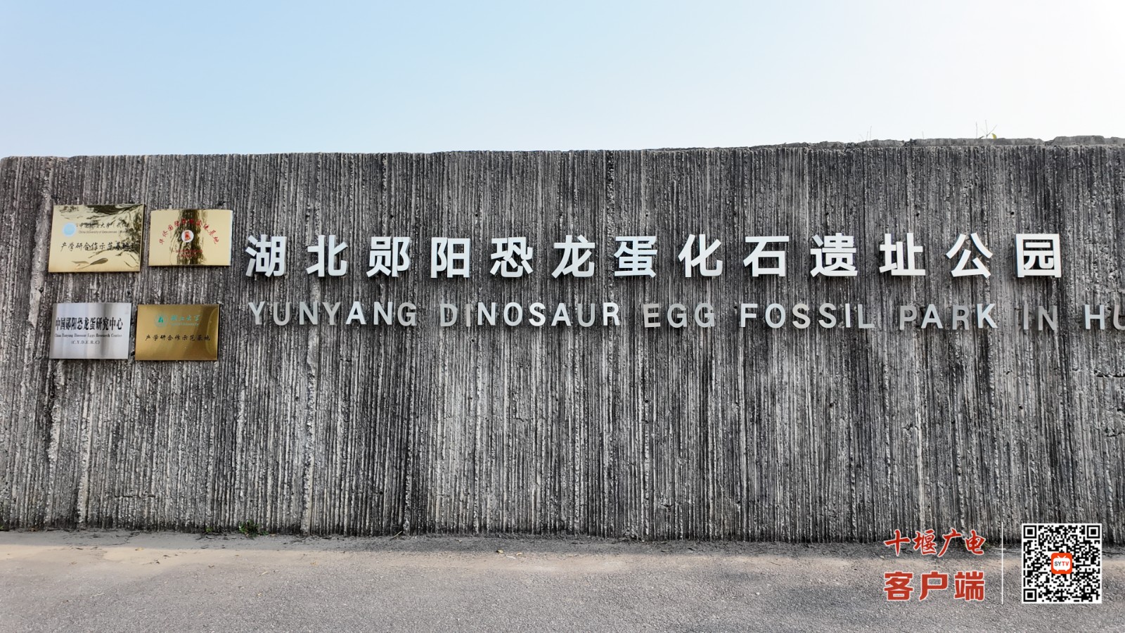 青龙山恐龙蛋化石群位于十堰市郧阳区柳陂镇，形成于距今约8600万年前，是全球恐龙蛋化石最集中的地点之一，也是中国首个恐龙蛋化石群国家级自然保护区 (1)