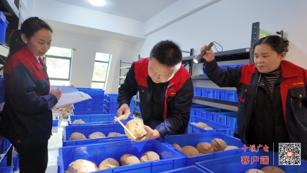 在湖北青龙山恐龙蛋化石群国家级自然保护区，数字化档案建设团队正为库藏的每一枚较完整恐龙蛋化石，赋予由“保护区名称-化石产地名称-库藏箱编号-标本编号”构成的唯一“身份证ID” (2)