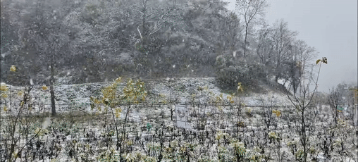 东沟雪[00-00-00--00-00-07]