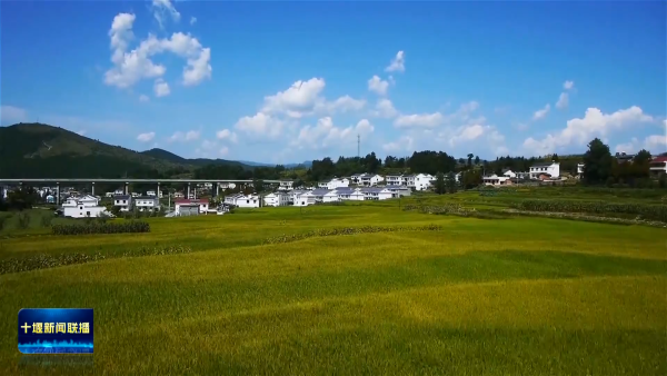 jXxlDOJJEdQAAAABJRU5ErkJggg==