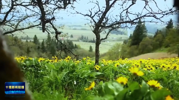 8BfkYwvnonzJMAAAAASUVORK5CYII=