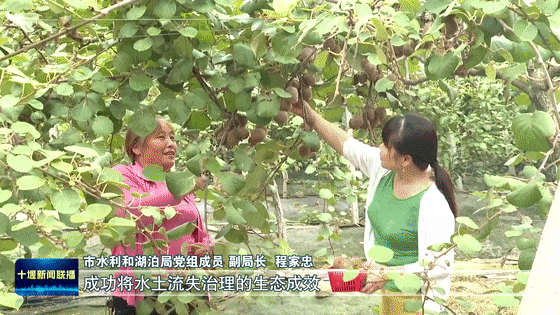 全省唯一!十堰成功入选国家试点