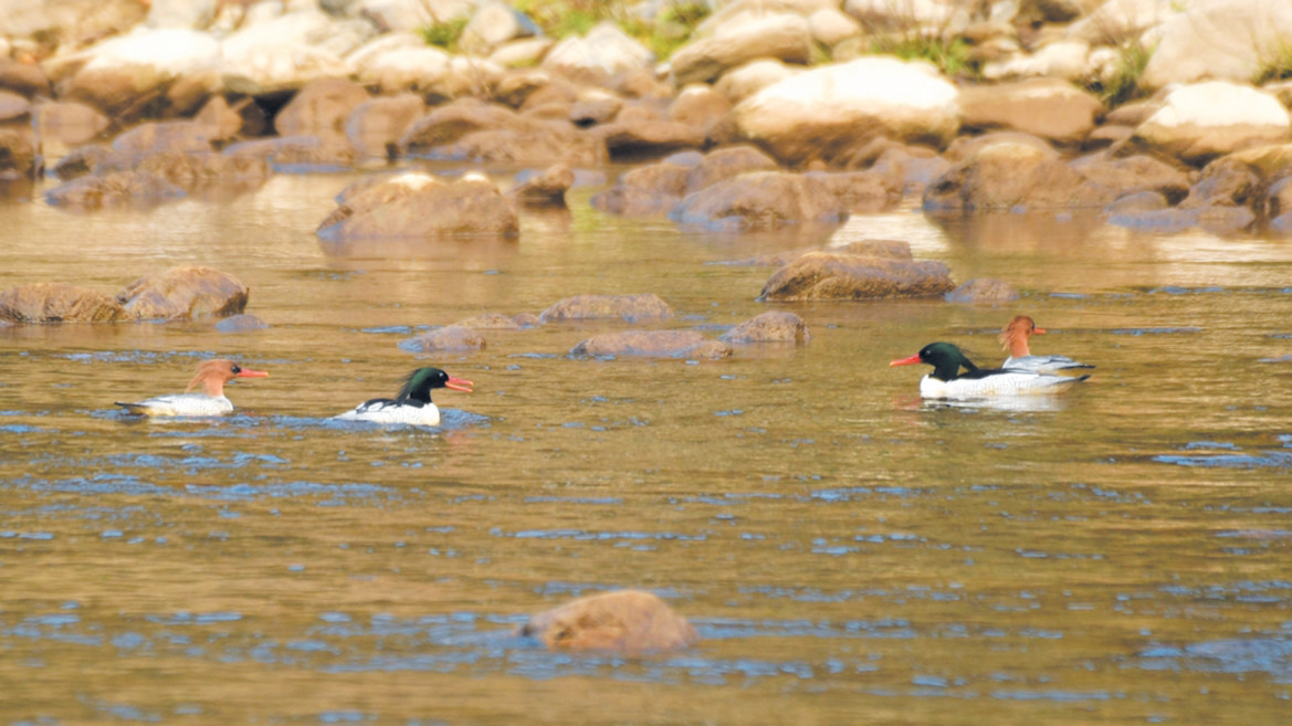 20260109A03_260109074759075347432