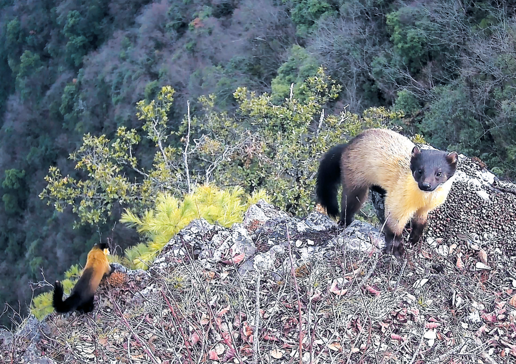 20260109A03_26010907480067493383