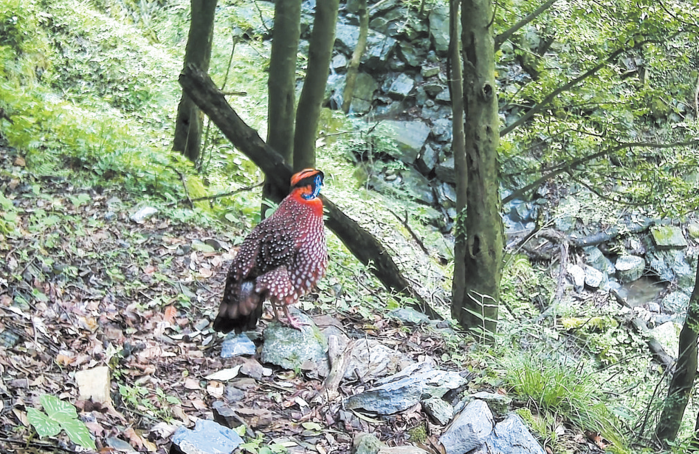 20260109A03_260109074757442569916