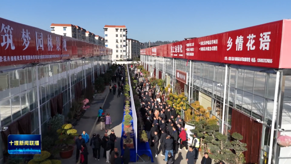 8FbbXmVTBRVYIAAAAASUVORK5CYII=