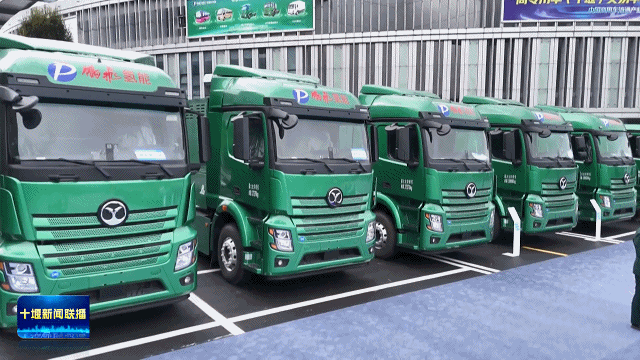 回眸2025  展望202620262111938212