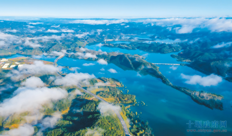 W020260224372069907062