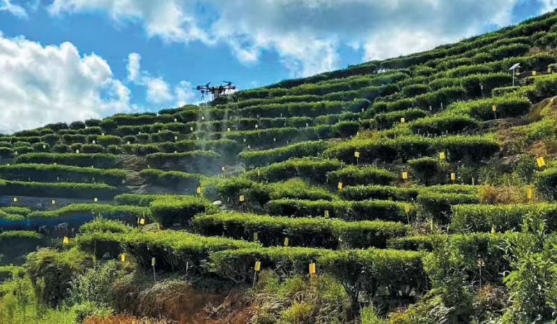 W020260224372424956754