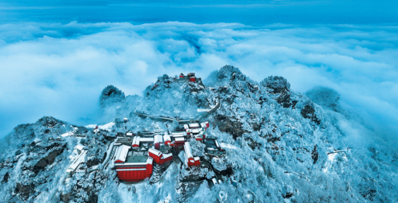 W020260224372243957951