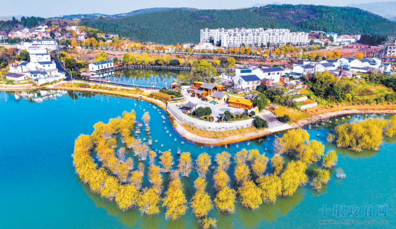 W020260224372158935300