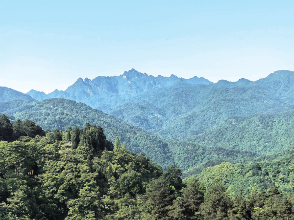 20260319A04_260319080835373826055