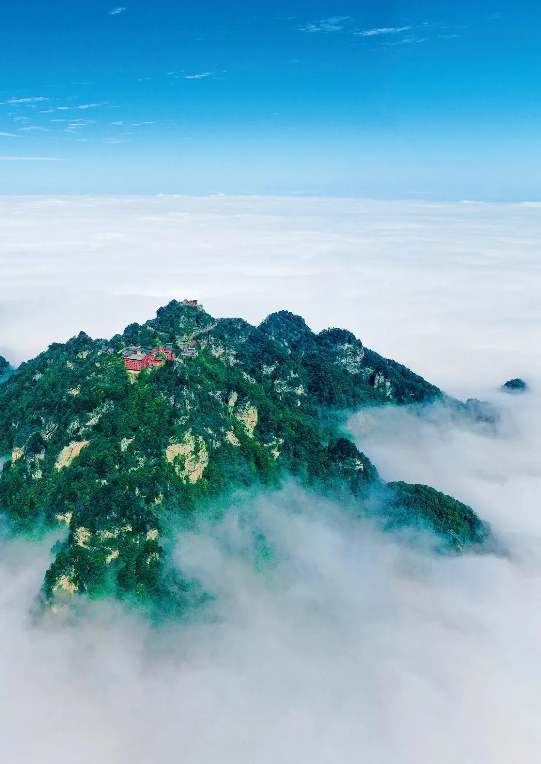 640_wx_fmt=webp&from=appmsg&wxfrom=5&wx_lazy=1&tp=webp