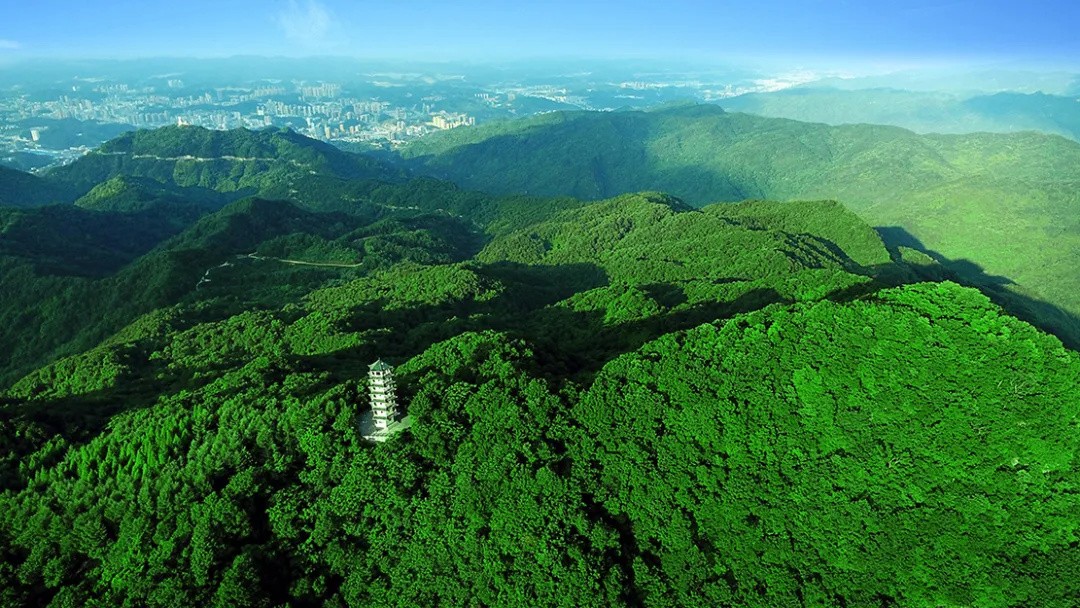 640_wx_fmt=jpeg&from=appmsg&wxfrom=5&wx_lazy=1&tp=webp (3)