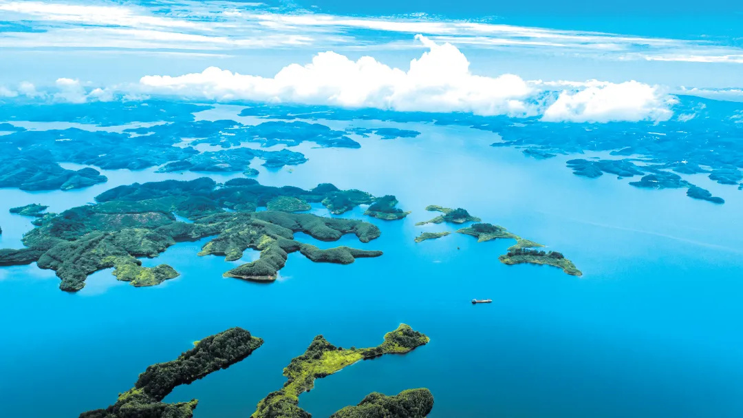 640_wx_fmt=png&from=appmsg&wxfrom=5&wx_lazy=1&tp=webp (2)