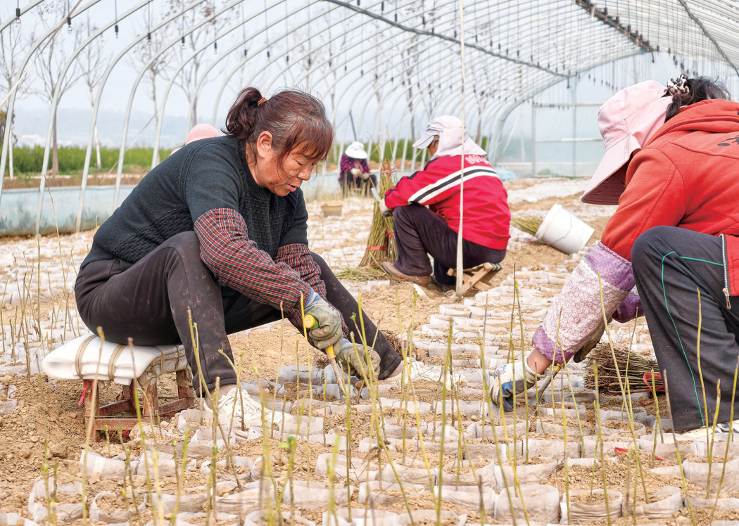 20260327A04_260327073848676778842 (1)